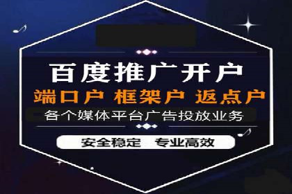 案例分析：竞价推广助力企业打造爆款产品